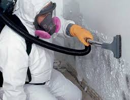 Mold Removal for HVAC Installations in Wickenburg, AZ